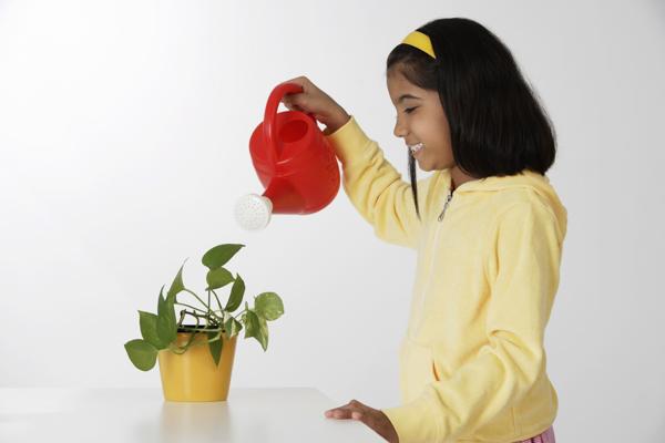 PictureIndia - Girl watering plant