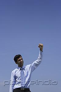 PictureIndia - Indian businessman raising his fist.