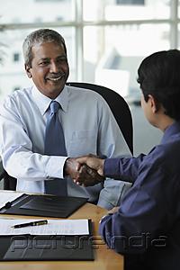 PictureIndia - Indian business men shaking hands and smiling