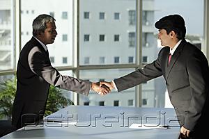 PictureIndia - Two Indian business men shaking hands