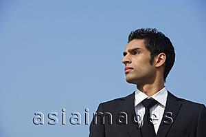 Asia Images Group - businessman, portrait (horizontal)