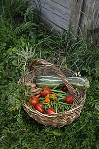 Mind Body Soul - basket full of garden vegetables