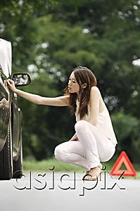 AsiaPix - Woman inspecting car