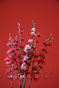 AsiaPix - Still life of a bunch of peach blossoms