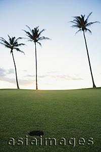 Asia Images Group - golf course during sunset