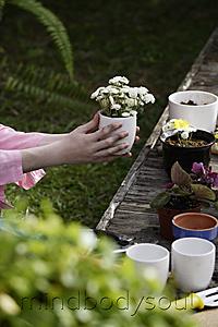 Mind Body Soul - hands of gardening at potting table