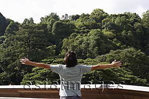 Asia Images Group - Man with arms outstretched to trees