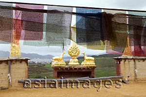 Asia Images Group - Prayer buntings in Songzanlin Temple, Shangri-la, China