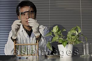 Asia Images Group - Scientist looking at test tubes.