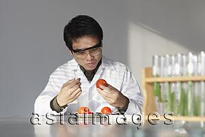 Asia Images Group - Scientist looking at tomatoes