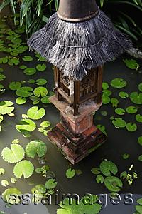 Asia Images Group - thatched light in lilly pond