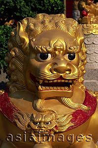 Asia Images Group - China,Hong Kong,New Territories,Sha Tin,Ten Thousand Buddha Monastery,This monastery has over 12,800 Buddha Statues,Detail of Lion Statue