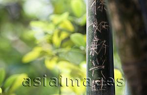 Asia Images Group - Carved Chinese characters into bamboo. 