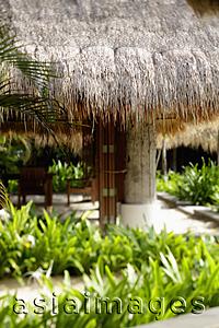 Asia Images Group - interior of thatched roof building
