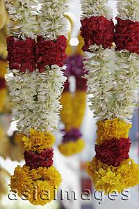 Asia Images Group - Hanging flower garland