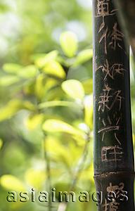 Asia Images Group - Carved Chinese character into bamboo.