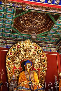 Asia Images Group - Tibetan Lama Temple or Yonghe Gong,Younghedian Pavilion,Buddha Statue. Beijing, China