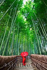 Asia Images Group - Rear view of woman walking through bamboo forest wearing a red kimono and holding a red umbrella. Japan,Kyoto,
