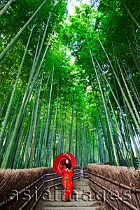 Asia Images Group - woman standing under bamboo forest wearing red Kimono holding red umbrella. kyoto, Japan