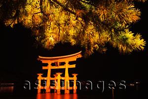Asia Images Group - Miyajima Island, Itsukushima Shrine, Torii Gate at night. Japan