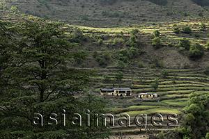 Asia Images Group - Terraced land with farm house, Himalayan foothills, India