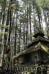 Asia Images Group - Hindu Temple in the forest of the Himalayan Mountains. India
