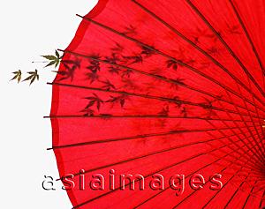 Asia Images Group - Japan, red umbrella with shadow of maple leaves