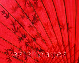 Asia Images Group - Japan, red umbrella with shadow of maple leaves