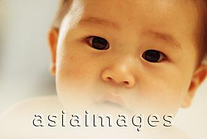 Asia Images Group - Baby boy (3 - 9 months old) looking curious, close up