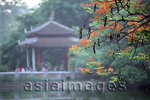Asia Images Group - Vietnam, Hanoi, Hgoc Son Temple in Hoan Kiem Lake.