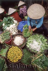 Asia Images Group - Vietnam, Danang, vegetables seller along Thu Bon River at Ho Ann.