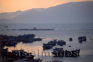 Asia Images Group - Vietnam, Nha Trang, boats at port on South China Sea.