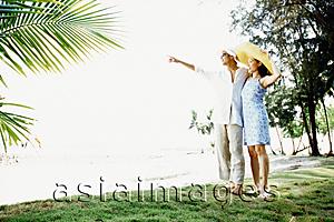 Asia Images Group - Young couple on beach, man pointing
