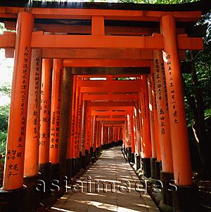 Asia Images Group - Japan, Kyoto, Fushimi Inari Shrine, Torii gates