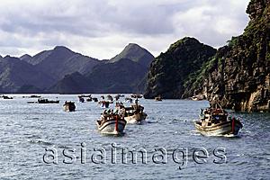 Asia Images Group - Vietnam, Halong Bay, Cat Ba Island, Fishing fleet heading out to sea