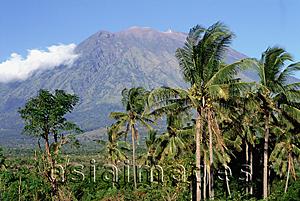 Asia Images Group - Indonesia, Bali, Mount Agung with palm trees in foreground.