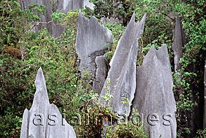 Asia Images Group - Malaysia, Sarawak, Mulu National Park, The Pinnacles