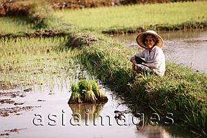 Asia Images Group - Thailand, Farmer resting after planting rice seedlings.