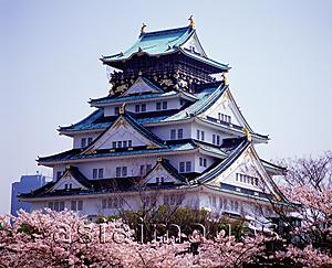 Asia Images Group - Japan, Osaka, Osaka Castle surrounded by Sakura.