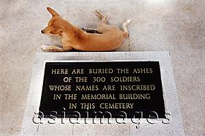 Asia Images Group - Thailand, Chung-Kai, A dog sitting by a stone marking the resting place of the ashes of 300 soldiers.