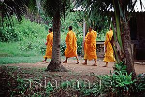 Asia Images Group - Vietnam, Mekong Delta region, Bac Lieu, Buddhist monks walking on street in search of alms.