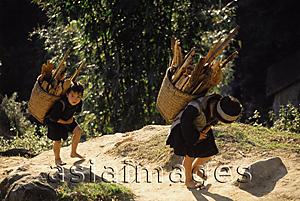 Asia Images Group - Vietnam, Sa Pa, Black Hmong children carrying firewood