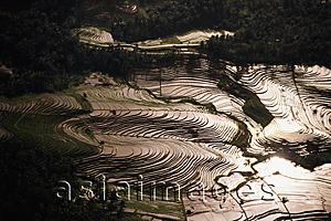 Asia Images Group - Indonesia, Bali, aerial shot of rice fields Tetebatu.