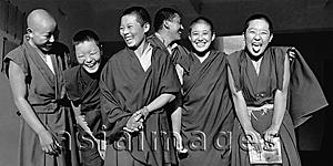 Asia Images Group - India, near Dharamsala, Dolma Ling Nunnery, Portrait of Tibetan nuns smiling and laughing.