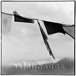 Asia Images Group - India, Ladakh, Leh, Prayer flags, Himalayas at background.