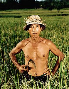 Asia Images Group - Indonesia, Bali, Candi Dasa, Balinese rice farmer in rice field.