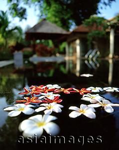 Asia Images Group -  Flowers in a pool, building in the background