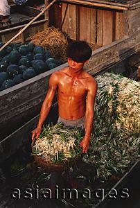 Asia Images Group - Vietnam, Vinh Long, Mekong Delta, Man unloading onions from boat.
