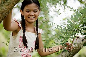 Asia Images Group - Young girl sitting in tree, smiling at camera