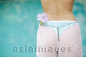 Asia Images Group - Rear view of a young woman in bikini.